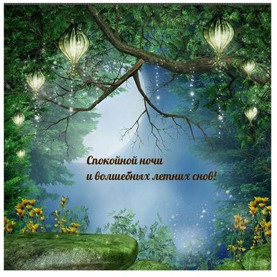 Открытка «Доброй ночи»: Спокойной ночи! Волшебная открытка с летним лесом. Тэги: Спокойной ночи, Спокойной ночи…