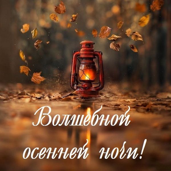 Открытка «Доброй ночи»: Спокойной ночи: «Волшебной осенней ночи». Тэги: Спокойной ночи, Спокойной ночи, с пожеланиями…