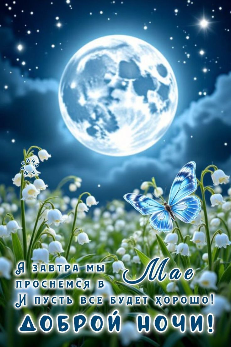 Открытка «Доброй ночи»: Доброй ночи и прекрасного мая: ландыши под луной. Тэги: Спокойной ночи, Спокойной ночи…