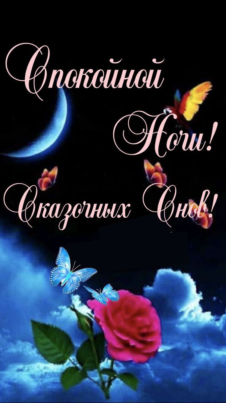 Открытка «Доброй ночи»: Спокойной ночи: «Роза и бабочки» под луной. Тэги: Спокойной ночи, Спокойной ночи, красивые…