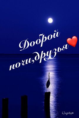 Открытка «Доброй ночи»: Спокойной ночи, друзья: «Лунная дорожка». Тэги: Спокойной ночи, цапля, Спокойной ночи, с поже…