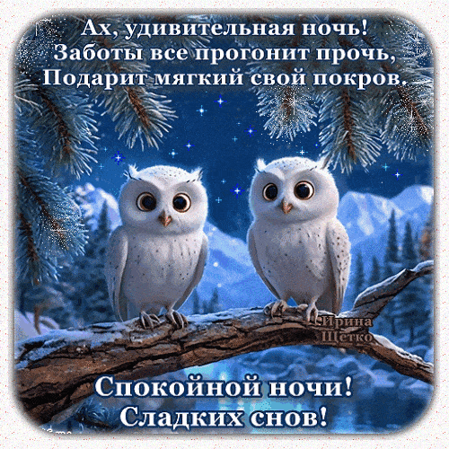 Открытка «Доброй ночи»: Доброй ночи: Сладких снов и сказочной зимы с совами. Тэги: Спокойной ночи, Спокойной ночи…