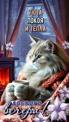 Открытка «Добрый вечер и пожелания»: Добрый вечер: пушистый кот у камина с чашкой чая. Тэги: Добрый зимний вечер…