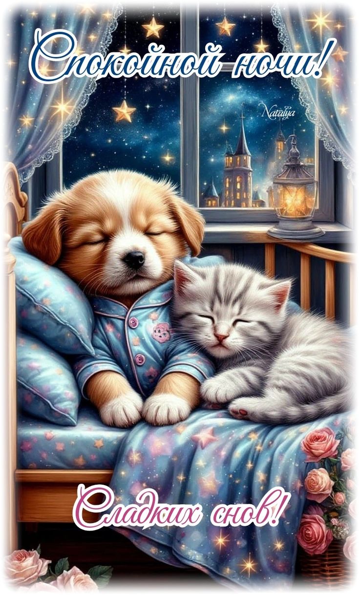 Открытка «Доброй ночи»: Доброй ночи: Сладких снов со щенком и котенком. Тэги: Спокойной ночи, Спокойной ночи, с пожел…