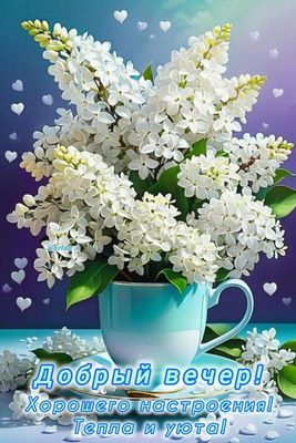 Открытка «Добрый вечер и пожелания»: Добрый вечер: «Белая сирень в чашке» для настроения. Тэги: Добрый вечер красивые…