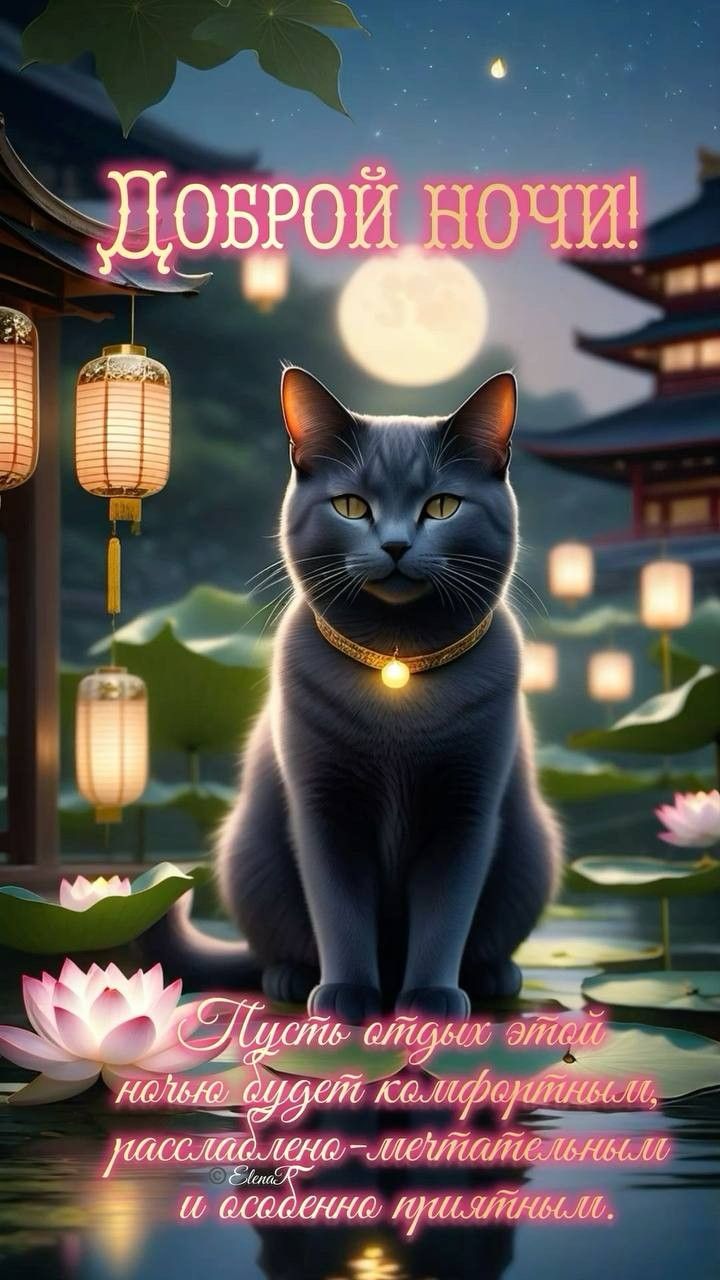 Открытка «Доброй ночи»: Доброй ночи: Милый кот в японском стиле. Тэги: Спокойной ночи, Спокойной ночи, с пожеланиями…