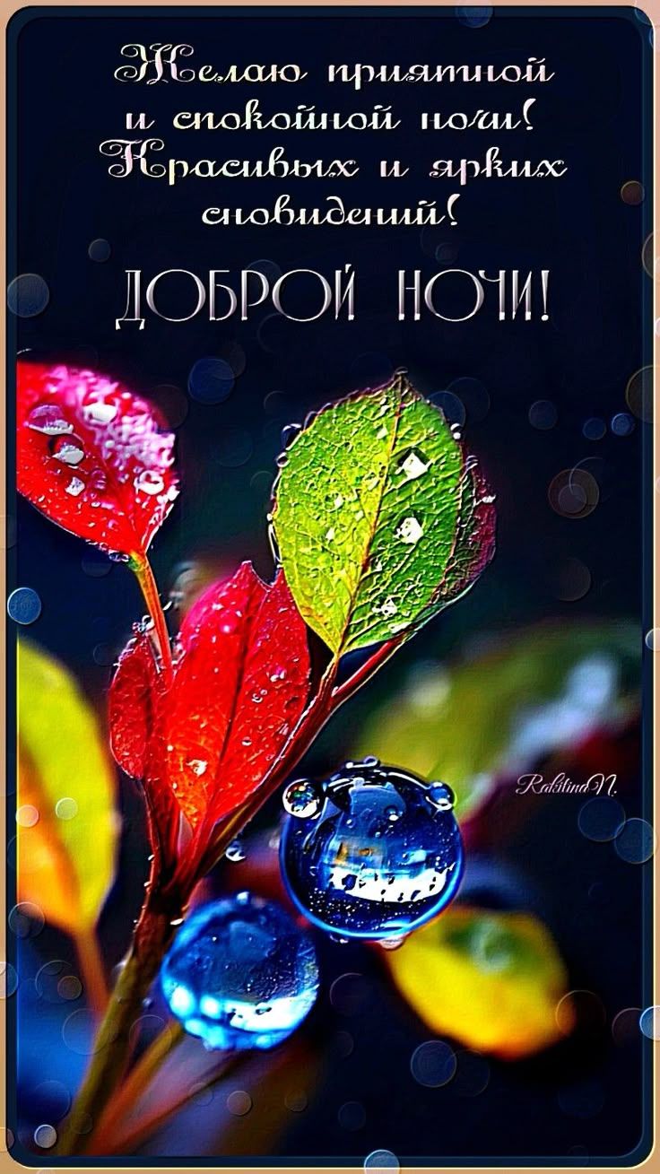 Открытка «Доброй ночи»: Доброй ночи: красивые пожелания и яркие сны. Тэги: Спокойной ночи, проза, Спокойной ночи…
