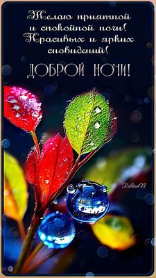 Открытка «Доброй ночи»: Доброй ночи: красивые пожелания и яркие сны. Тэги: Спокойной ночи, проза, Спокойной ночи…