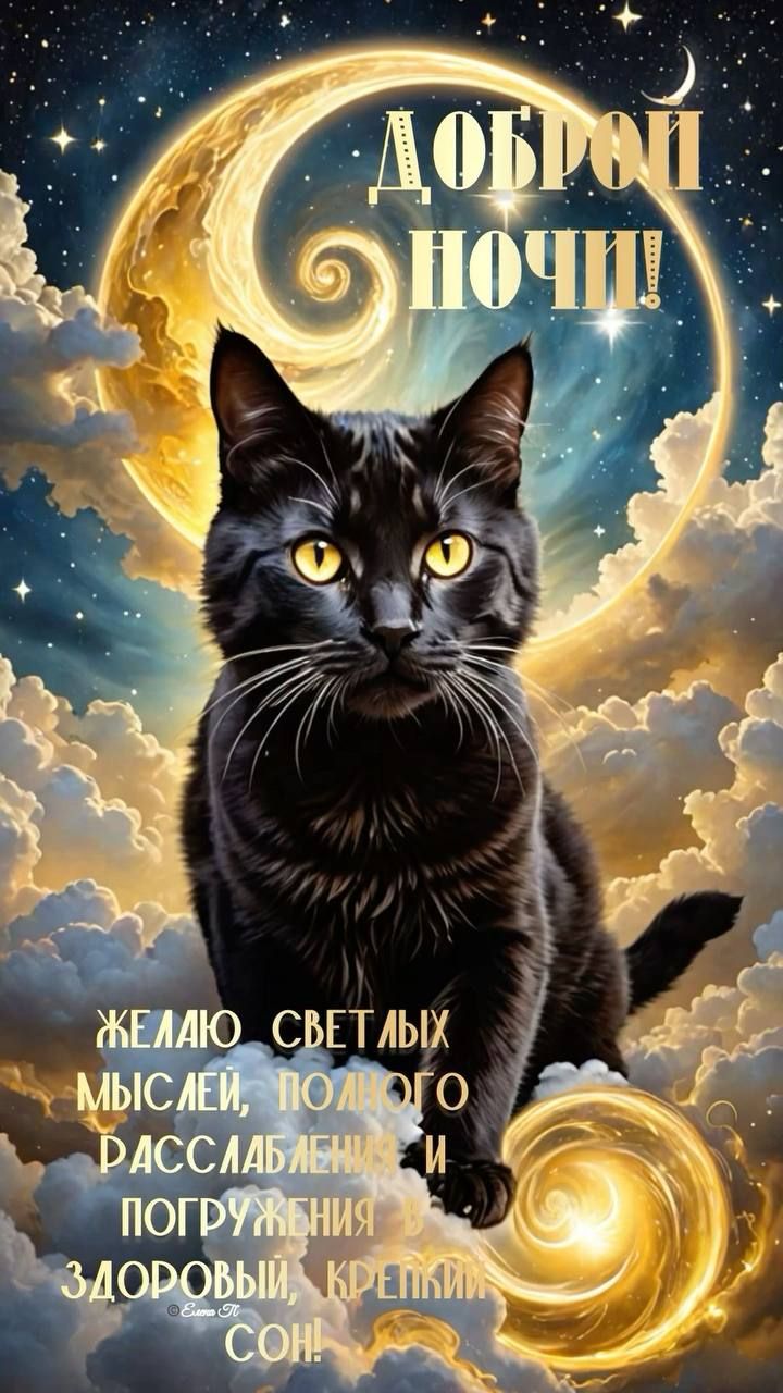 Открытка «Доброй ночи»: Доброй ночи: черный кот на фоне мистической луны.