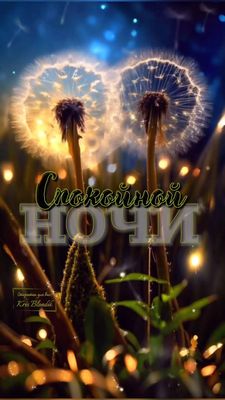 Открытка «Доброй ночи»: Спокойной ночи: Волшебные одуванчики и огни. Тэги: Спокойной ночи, Спокойной ночи, красивые…