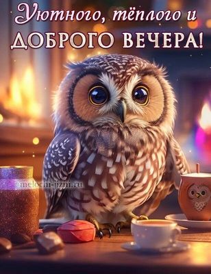 Открытка «Добрый вечер и пожелания»: Добрый вечер: Уютная сова и пожелание тепла. Тэги: Доброго вечера и хорошего нас…