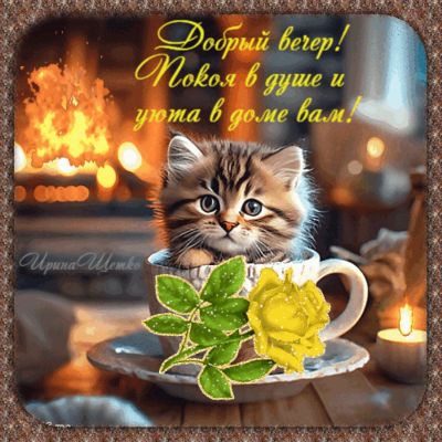 Открытка «Добрый вечер и пожелания»: Добрый вечер: Кот в чашке и уютный камин. Тэги: Доброго вечера и хорошего настро…