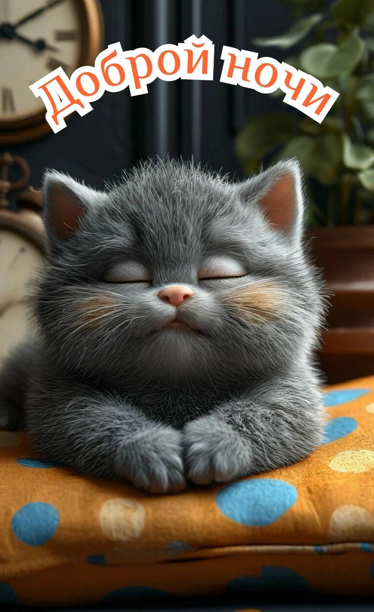 Открытка «Доброй ночи»: Доброй ночи: Милый серый котенок на подушке. Тэги: Спокойной ночи, Спокойной ночи, красивые…