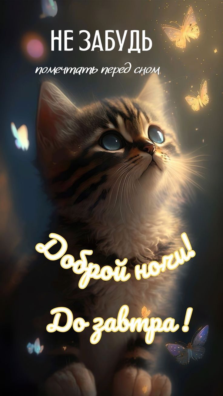 Открытка «Доброй ночи»: Доброй ночи: Милый котенок с бабочками. Тэги: Спокойной ночи, Спокойной ночи, красивые…