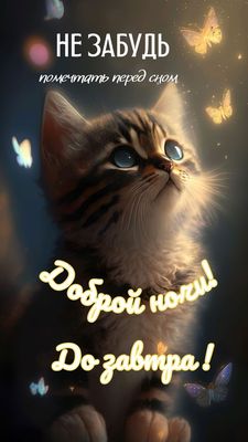 Открытка «Доброй ночи»: Доброй ночи: Милый котенок с бабочками. Тэги: Спокойной ночи, Спокойной ночи, красивые…