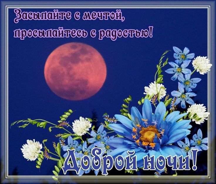 Открытка «Доброй ночи»: Доброй ночи: пожелание «Засыпайте с мечтой». Тэги: Спокойной ночи, Спокойной ночи, красивые…