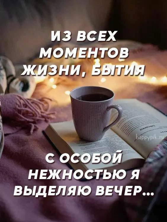 Открытка «Добрый вечер и пожелания»: Добрый вечер: мудрое пожелание и уют с книгой. Тэги: Доброго вечера и хорошего н…