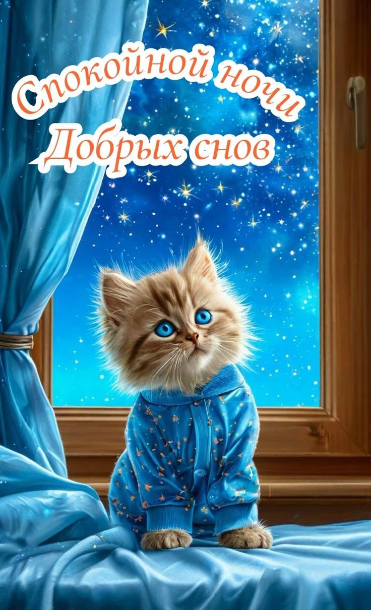 Открытка «Доброй ночи»: Спокойной ночи: милый котик у окна и звездное небо. Тэги: Спокойной ночи, Спокойной ночи…