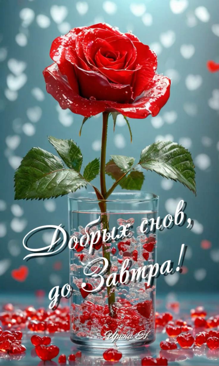 Открытка «Доброй ночи»: Доброй ночи: Нежная красная роза и пожелание снов. Тэги: Спокойной ночи, Спокойной ночи…