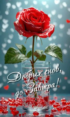 Открытка «Доброй ночи»: Доброй ночи: Нежная красная роза и пожелание снов. Тэги: Спокойной ночи, Спокойной ночи…