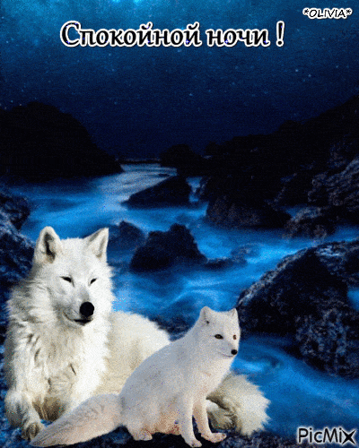 Открытка «Доброй ночи»: Спокойной ночи: волшебный пейзаж с белым волком. Тэги: Спокойной ночи, ночной, Спокойной ночи…