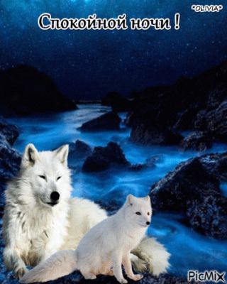 Открытка «Доброй ночи»: Спокойной ночи: волшебный пейзаж с белым волком. Тэги: Спокойной ночи, ночной, Спокойной ночи…