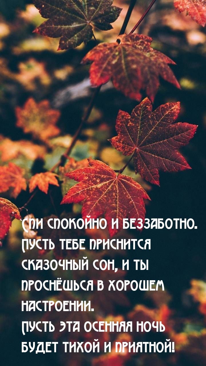 Открытка «Доброй ночи»: Доброй ночи и хорошего настроения: осенняя открытка. Тэги: Спокойной ночи, Спокойной ночи…