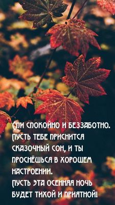 Открытка «Доброй ночи»: Доброй ночи и хорошего настроения: осенняя открытка. Тэги: Спокойной ночи, Хорошего настроения…