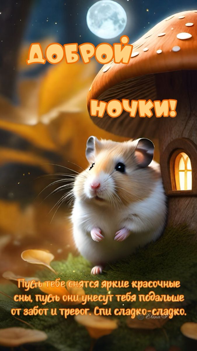 Открытка «Доброй ночи»: Спокойной ночи: милый хомяк и сказочный гриб. Тэги: Спокойной ночи, Спокойной ночи, красивые…