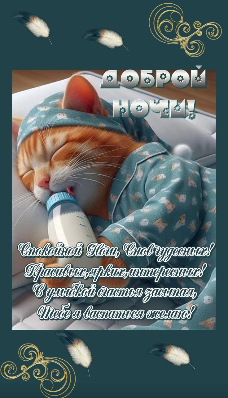 Открытка «Доброй ночи»: Спокойной ночи: милый рыжий кот в пижаме. Тэги: Спокойной ночи, Спокойной ночи, с пожеланиями…