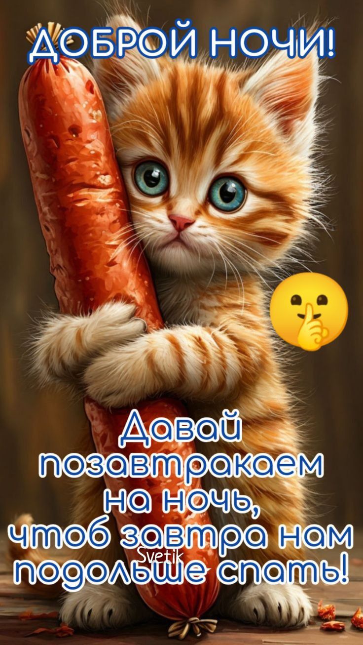 Открытка «Доброй ночи»: Спокойной ночи: прикольный рыжий кот с колбасой. Тэги: Спокойной ночи, Спокойной ночи, с поже…