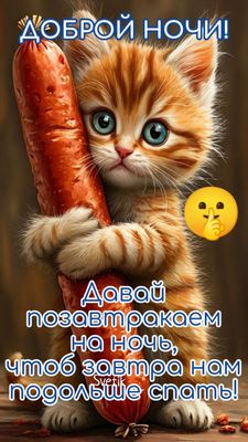 Открытка «Доброй ночи»: Спокойной ночи: прикольный рыжий кот с колбасой. Тэги: Спокойной ночи, Спокойной ночи, с поже…