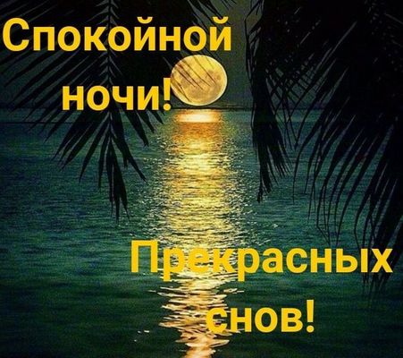 Открытка «Доброй ночи»: Спокойной ночи: Лунная дорожка и тропический пейзаж. Тэги: Спокойной ночи, ночной, Спокойной…