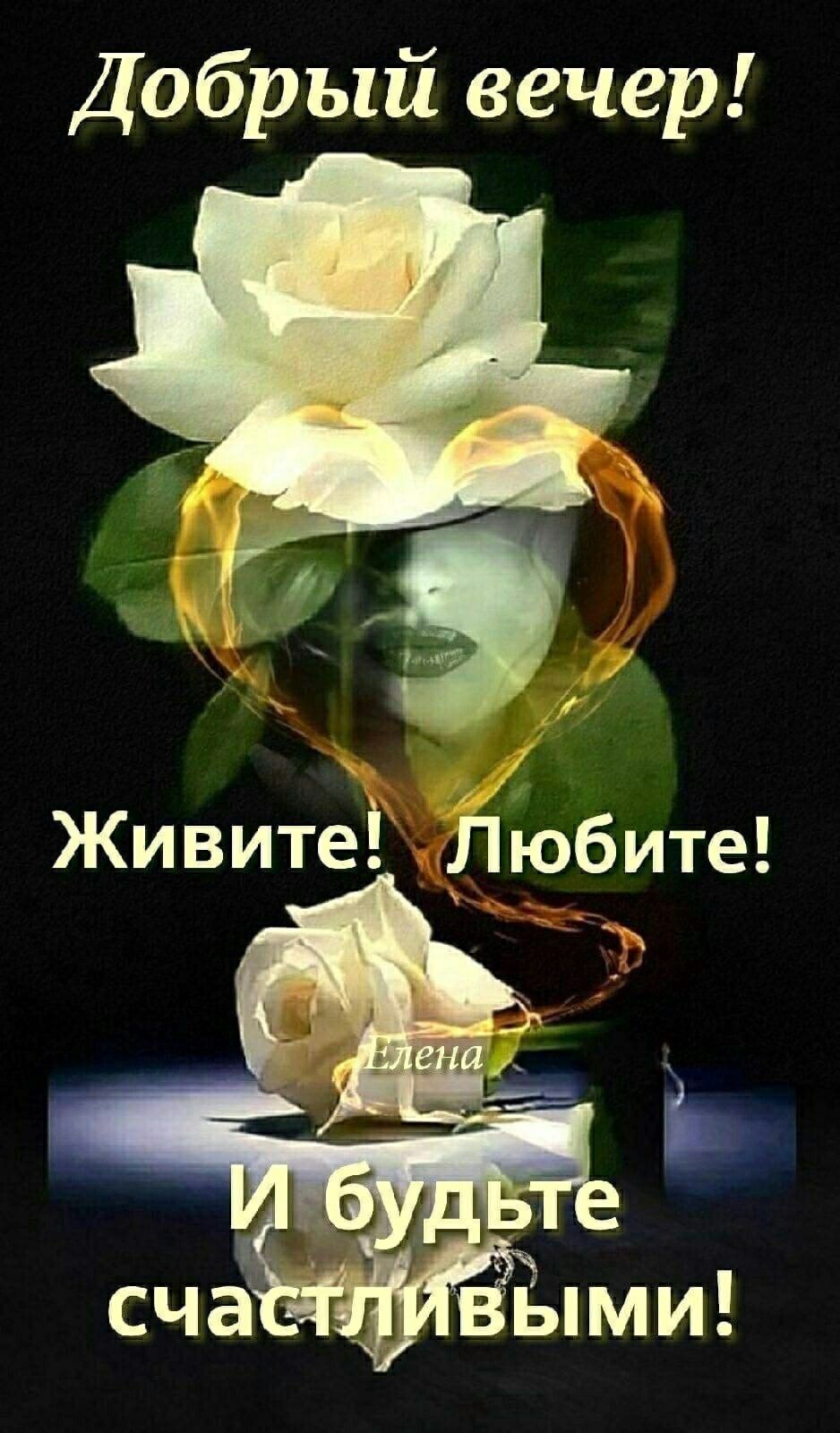 Открытка «Добрый вечер и пожелания»: Добрый вечер! Нежные розы для отличного настроения. Тэги: Добрый вечер женщине…