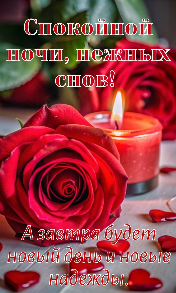 Открытка «Доброй ночи»: Спокойной ночи: открытка с розами и свечой. Тэги: Спокойной ночи, Спокойной ночи, красивые…