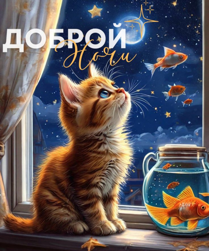 Открытка «Доброй ночи»: Доброй ночи: Милый котенок и золотые рыбки. Тэги: Спокойной ночи, Спокойной ночи, с пожелания…
