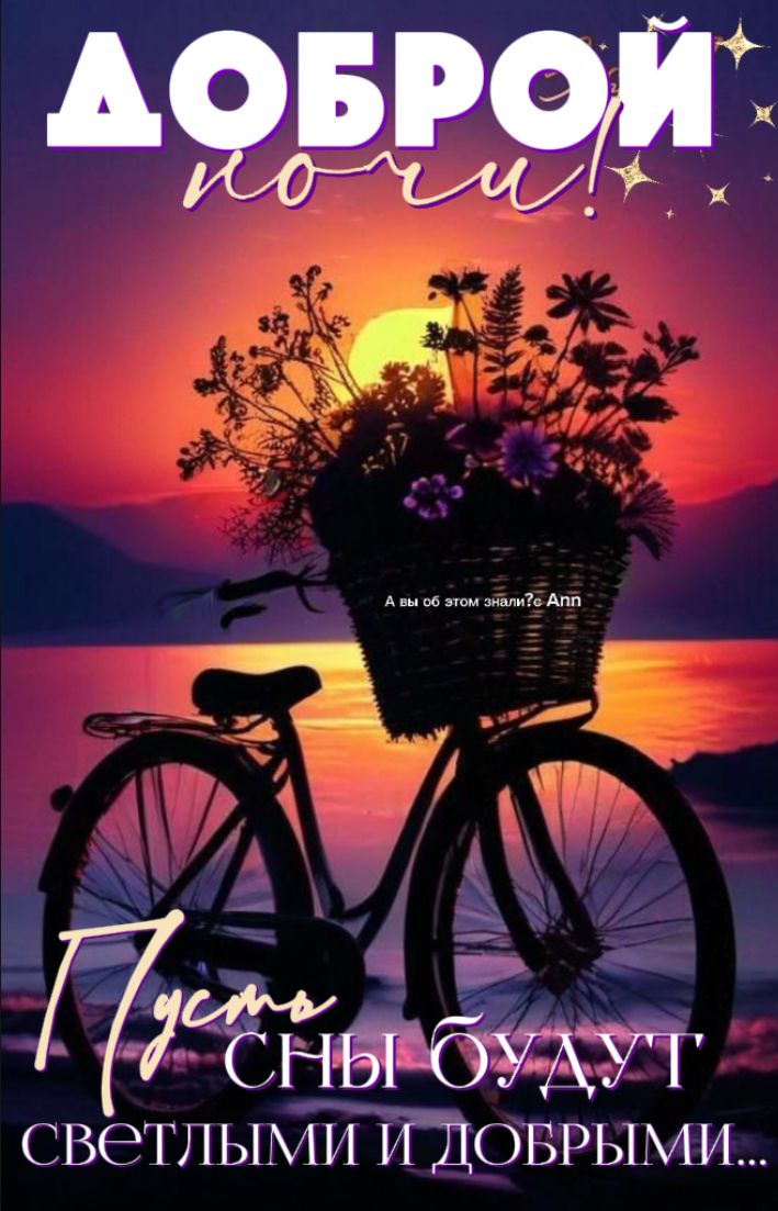 Открытка «Доброй ночи»: Спокойной и доброй ночи: «Велосипед на фоне заката». Тэги: Спокойной ночи, Спокойной ночи…