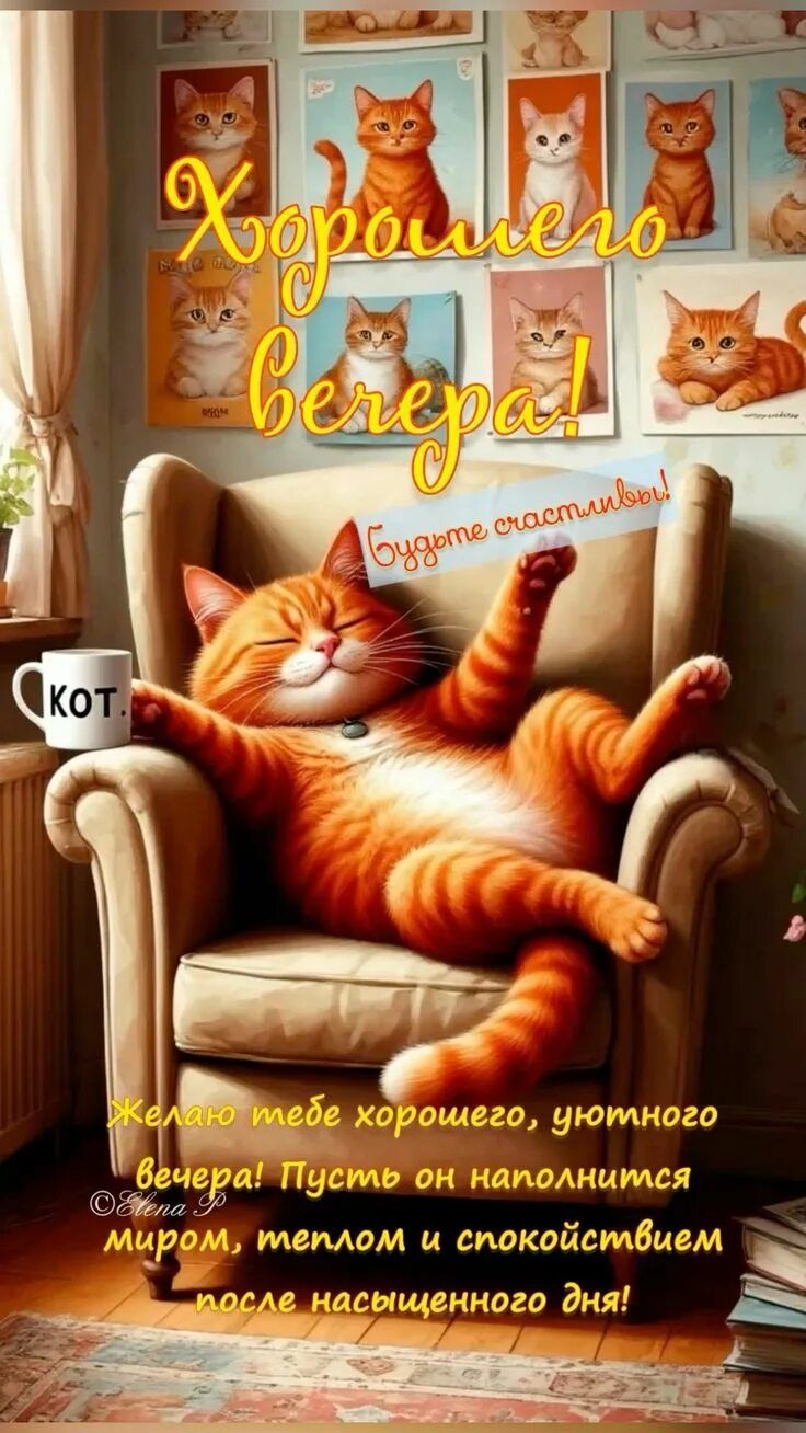 Открытка «Добрый вечер и пожелания»: Добрый вечер: Прикольный рыжий кот в кресле. Тэги: Прикольный добрый вечер…