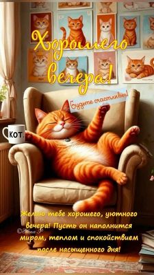 Открытка «Добрый вечер и пожелания»: Добрый вечер: Прикольный рыжий кот в кресле. Тэги: Прикольный добрый вечер…