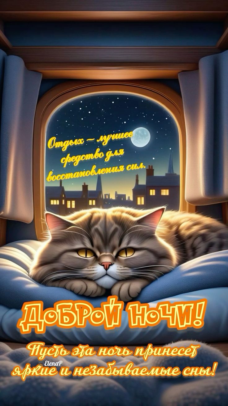 Открытка «Доброй ночи»: Доброй ночи: милый кот у окна и пожелание сна. Тэги: Спокойной ночи, Спокойной ночи, с пожела…