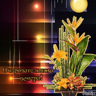 Открытка «Экзотический»: Добрый вечер: «Очаровательного вечера!» с цветами. Тэги: Добрый вечер и пожелания, Добрый ве…