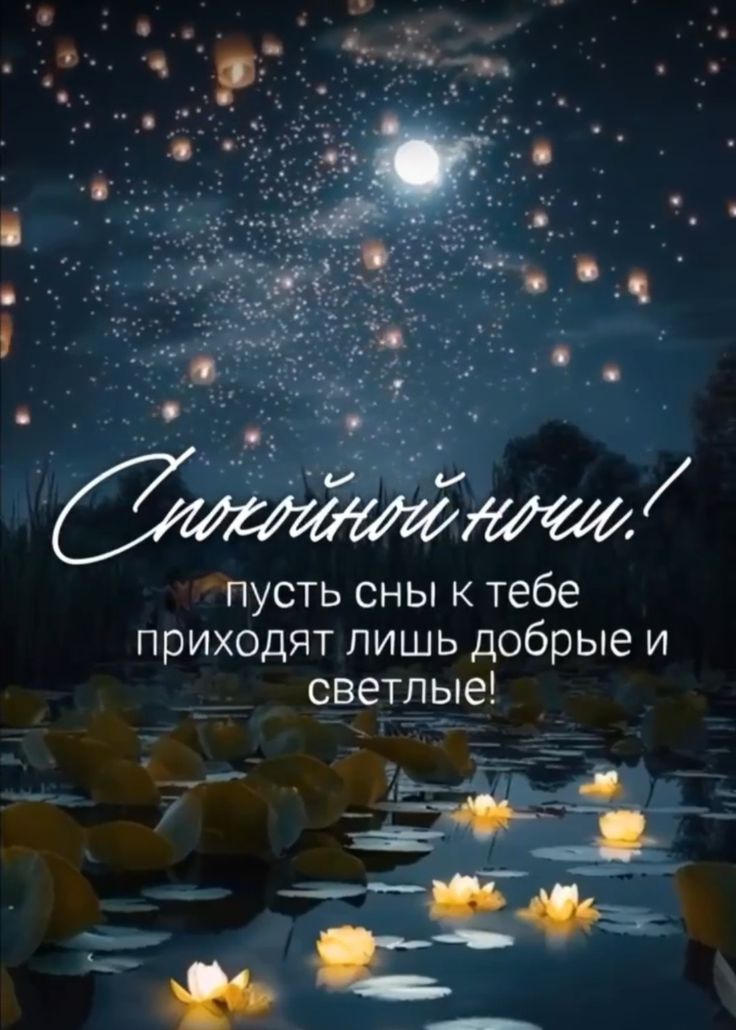 Открытка «Доброй ночи»: Спокойной ночи: Волшебная панорама с лотосами. Тэги: Спокойной ночи, Спокойной ночи, красивые…