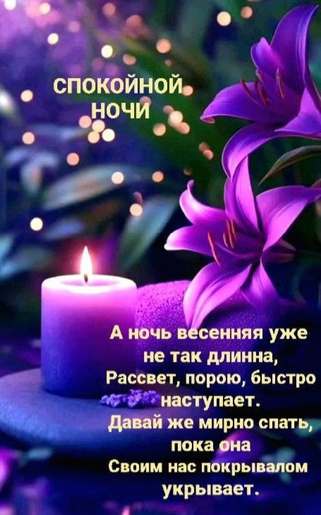 Открытка «Доброй ночи»: Спокойной ночи: фиолетовые лилии и свеча. Тэги: Спокойной ночи, проза, Спокойной ночи, красив…