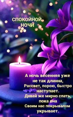 Открытка «Доброй ночи»: Спокойной ночи: фиолетовые лилии и свеча. Тэги: Спокойной ночи, проза, Спокойной ночи, красив…