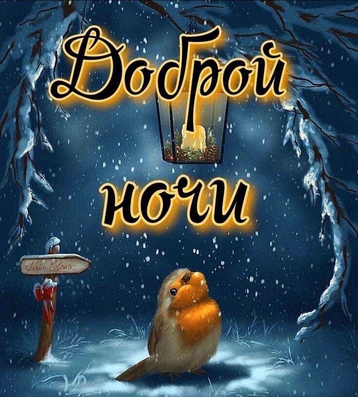 Открытка «Доброй ночи»: Доброй ночи: «Зимняя птичка у фонаря». Тэги: Спокойной ночи, Спокойной ночи, красивые, Доброй…
