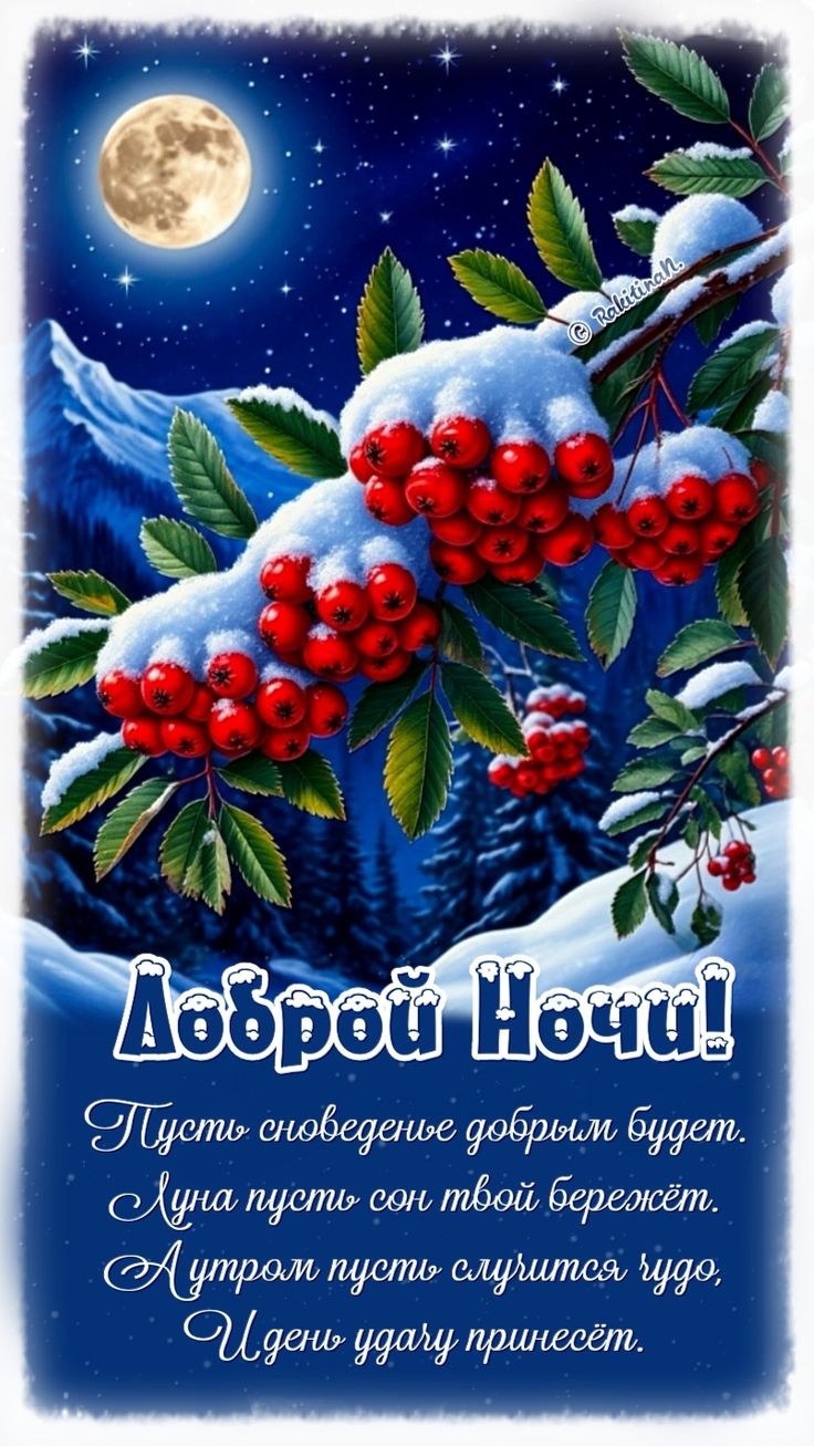 Открытка «Доброй ночи»: Доброй ночи: рябина в снегу и яркая луна.