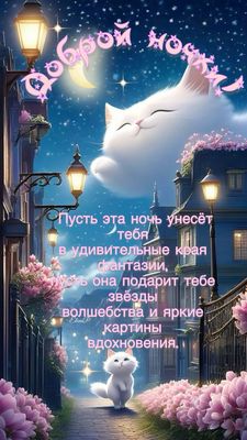 Открытка «Доброй ночи»: Доброй ночи: Волшебное пожелание с белым котом.