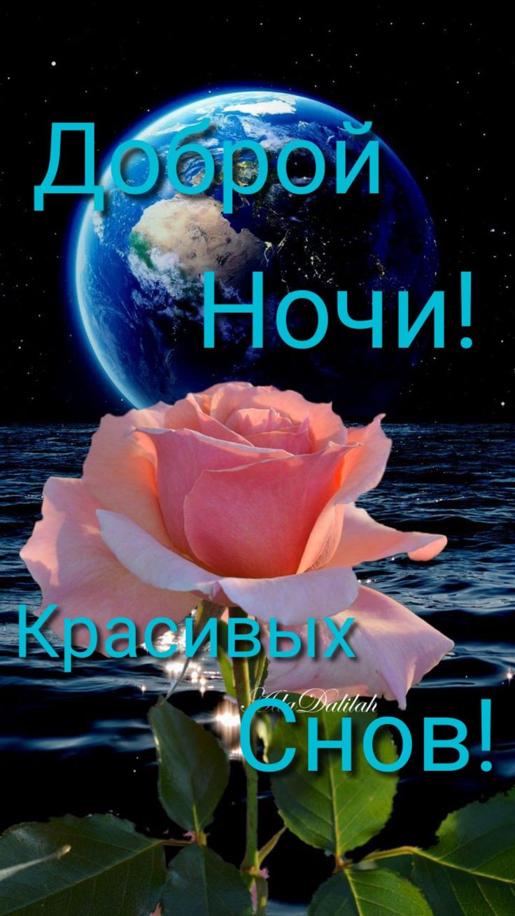 Открытка «Доброй ночи»: Доброй ночи: «Роза под синим небом планеты». Тэги: Спокойной ночи, Спокойной ночи, красивые…