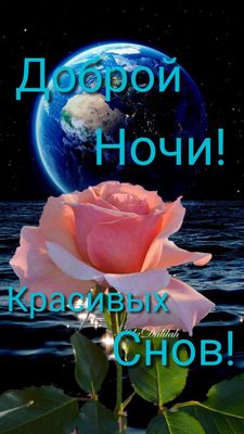 Открытка «Доброй ночи»: Доброй ночи: «Роза под синим небом планеты». Тэги: Спокойной ночи, Спокойной ночи, красивые…