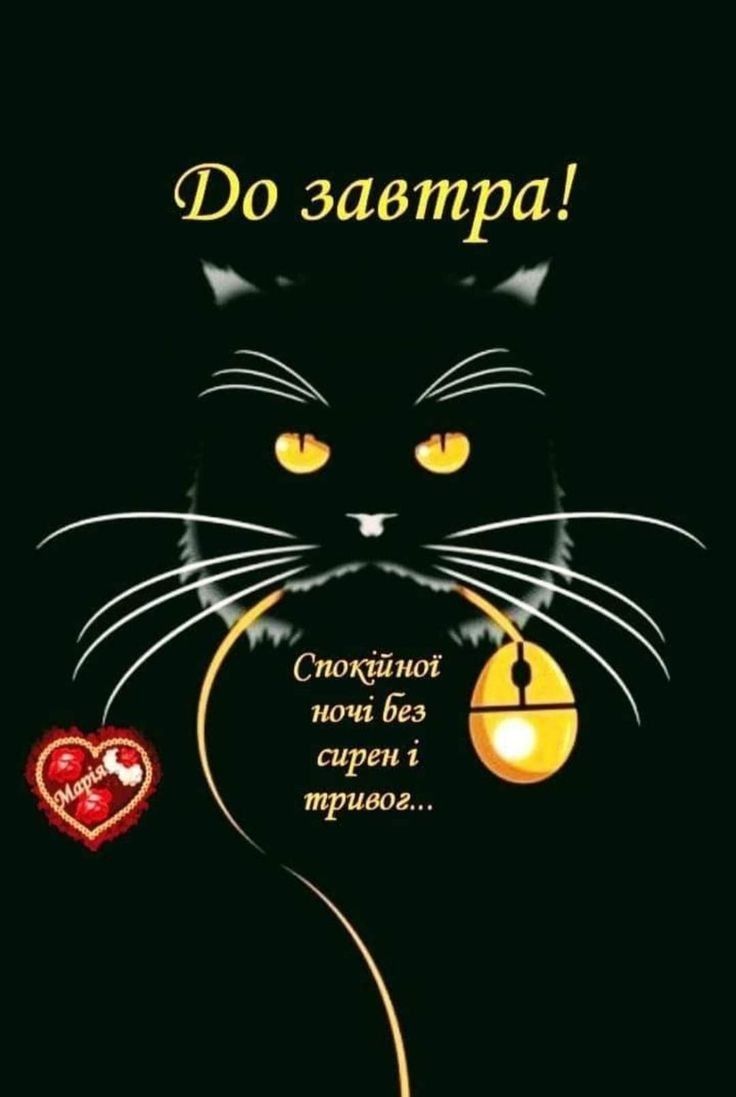Открытка «Доброй ночи»: Спокойной ночи: черный кот и пожелание тишины. Тэги: Спокойной ночи, Спокойной ночи, с пожела…